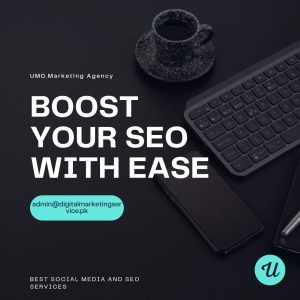 SEO Services in Gulberg
